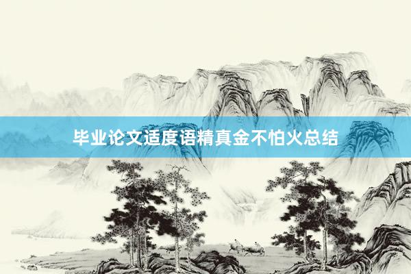毕业论文适度语精真金不怕火总结